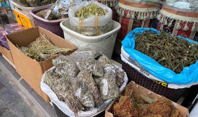 Soğuk havanın 'ilacı' bitki çayları