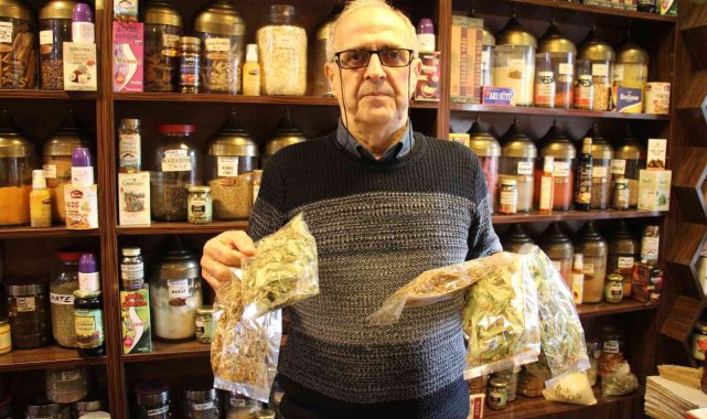 Soğuk havayı gören ıhlamura sarıldı