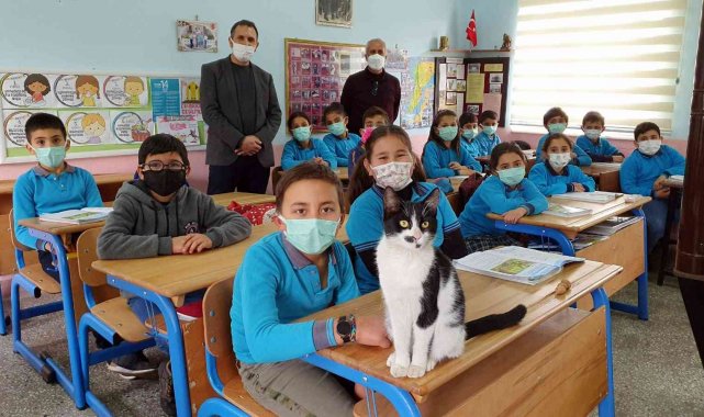 Soğukta okula sığınan kediye öğrenciler sahip çıktı