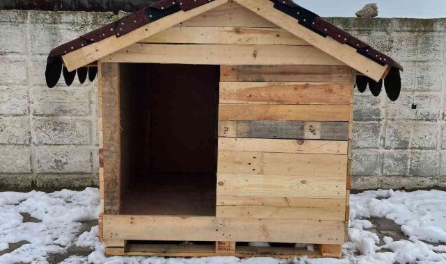 Sokak hayvanları 'Bizim Sokağın Çocukları' projesiyle güvende olacak