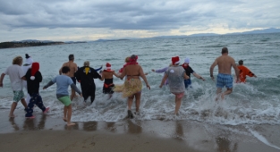 Sokak Hayvanları  İçin Denize Girdiler!