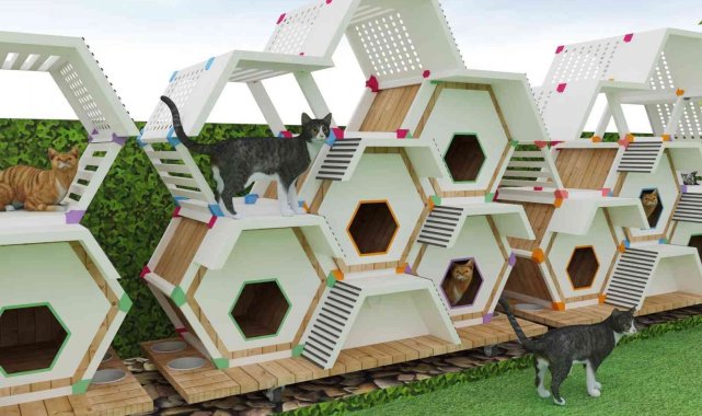 Sokak hayvanları için kedi ve köpek evleri tasarlandı