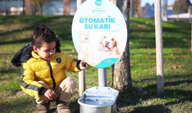 Sokak hayvanları için şehrin dört bir yanında 'otomatik suluk' sistemi devreye alındı