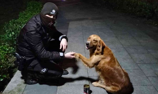 Sokak hayvanlarına bekçi şefkati