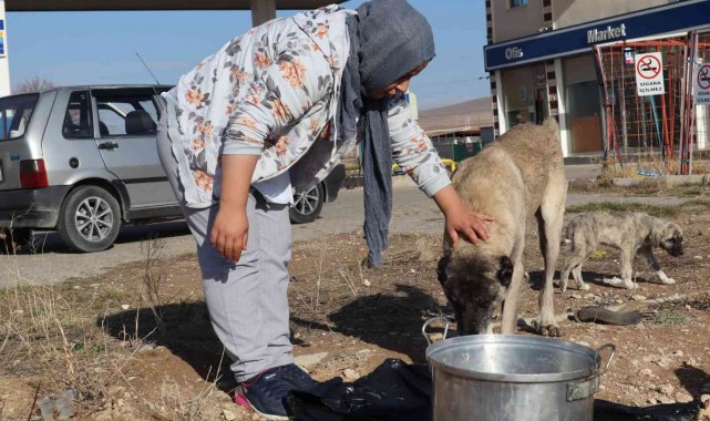 Sokak hayvanlarının bakımları için günlük 40 kilometre yol gidiyor