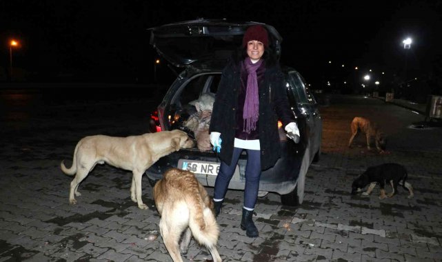 Sokak köpekleri onu kornasından tanıyor