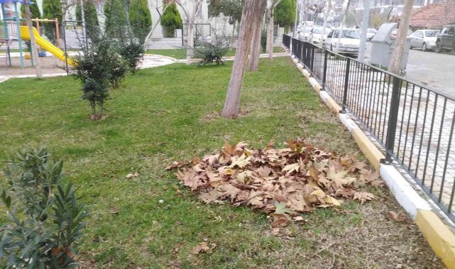 Soma'da park ve bahçelerin kışlık bakımları devam ediyor