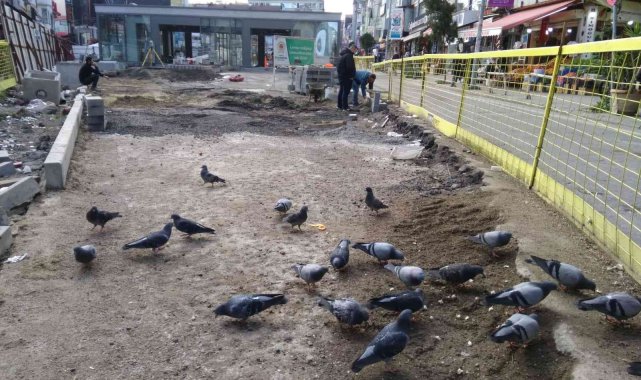 Subaşı'nın güvercinleri Hamidiye Çeşmesi'ni güzelleştirecek