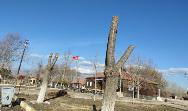 Sultan Sazlığı'nda sonbahar temizliği