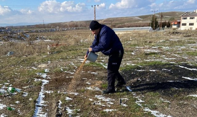 Sungurlu&#039;da sokak hayvanları unutulmadı