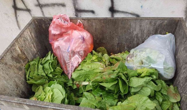 Taze marulları çöpe attı