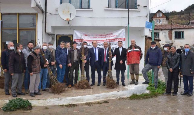 Tekirdağ'da 700 kestane fidanı dağıtıldı
