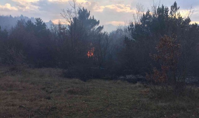 Tokat'ta orman yangını, bölgeye itfaiye ekipleri sevk edildi