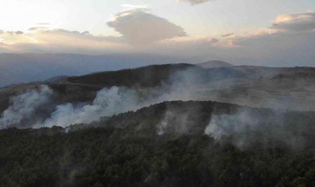 Tokat&#039;ta orman yangını kontrol altına alındı