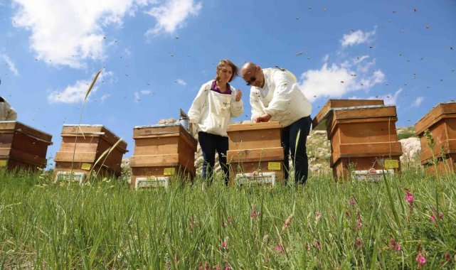 Torosların balı Avrupa yolunda