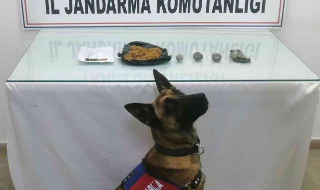 Trabzon'da uyuşturucu operasyonu