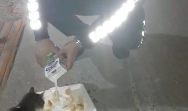 Trafik polisi sahipsiz hayvanları kendi elleriyle besliyor