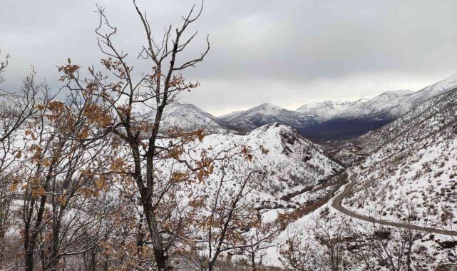 Tunceli'de kapalı bulunan 41 köy yolunun ulaşıma açılma çalışmaları sürüyor