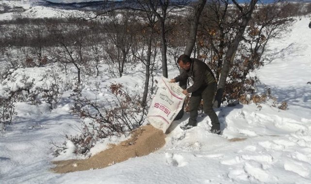 Tunceli&#039;de yaban hayvanları için doğaya yem bırakıldı
