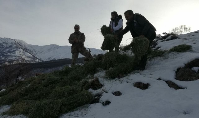 Tunceli'de yaban hayvanları için doğaya yem bırakıldı