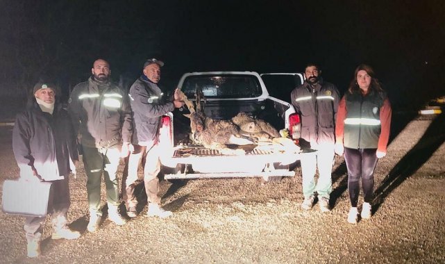 Tunceli'de yaban keçisi avlayan 2 kişiye 126 bin lira ceza