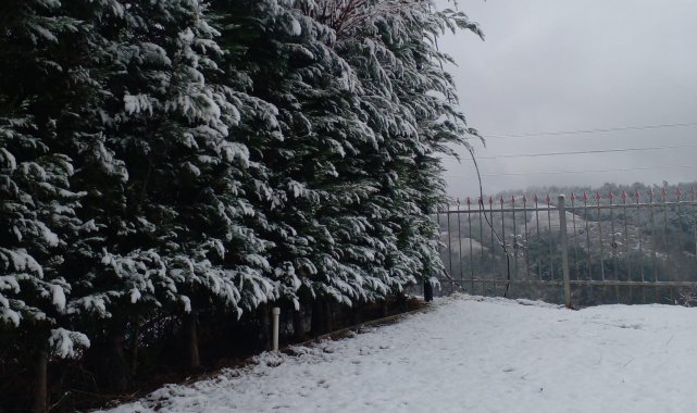 Turgutlu'nun yüksek kesimlerine kar yağdı