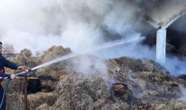 Türkeli'de ev yangını