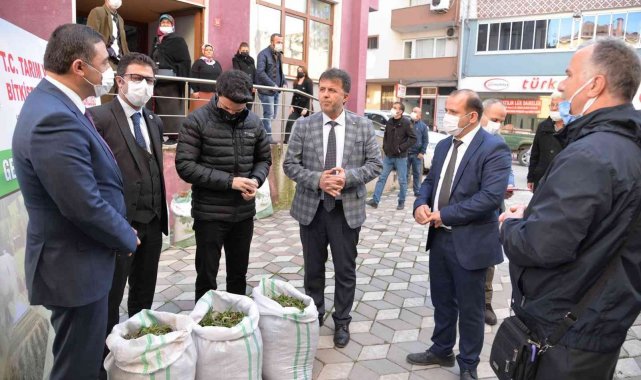 Türkeli'de salep fidesi ve yonca tohumu dağıtıldı