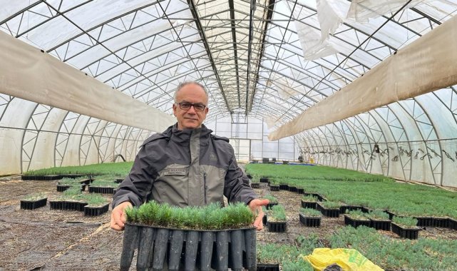 Türkiye'nin en büyük orman fidanlığından yavru vatana 50 bin fidan