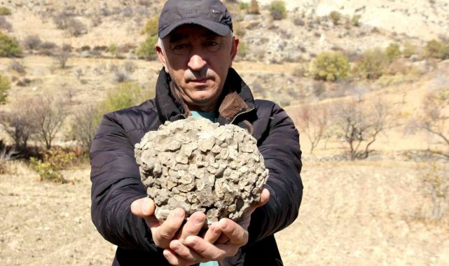 Tut'ta 10 kilo ağırlığında 65 milyon yıllık deniz mercanı bulundu