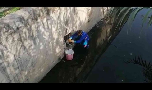 Tuzla Belediyesi personelinden insanlık dersi