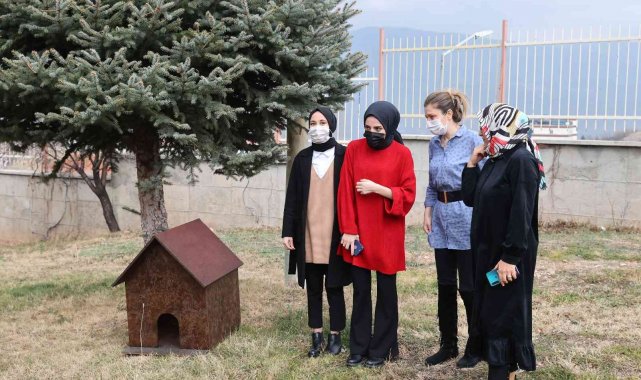 Üniversite öğrencisi istedi, onların da bir yuvası oldu