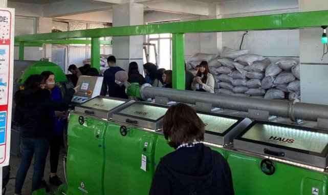 Üniversiteli gencler zeytinyağı üretimini yakından gördü