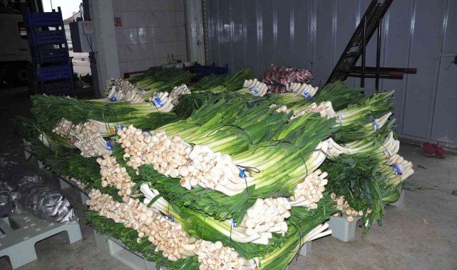 Üretici kışlık sebze fiyatlarından memnun değil