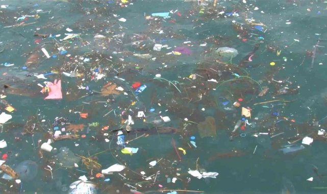 Üsküdar Sahili'nde kıyıya çöpler vurdu