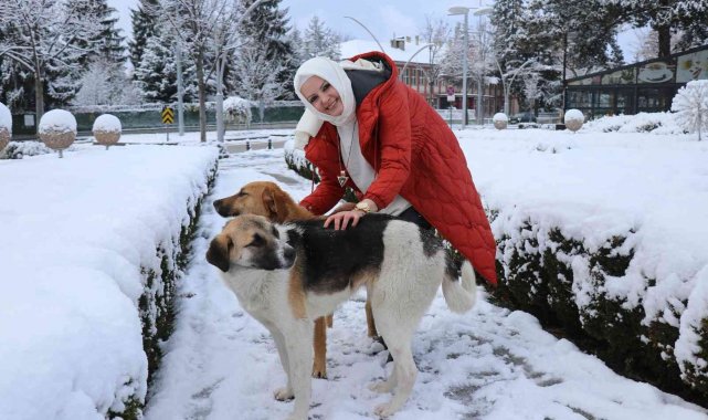 Üşüyen sokak köpeğine mağazadan aldığı kazağı giydirdi