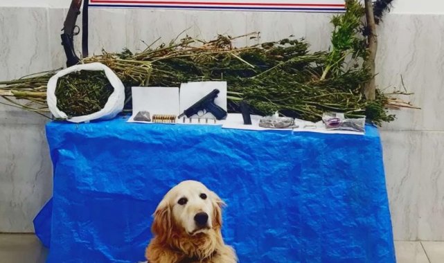 Uyuşturucu taciri 'Altın'dan kaçamadı