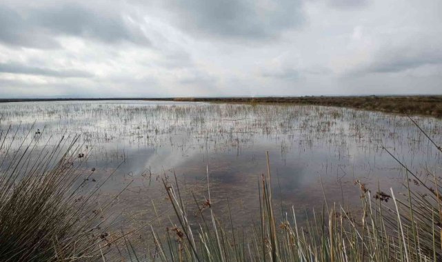 Vali Dağlı: "Su potansiyelimizi etkili ve verimli kullanmalıyız"