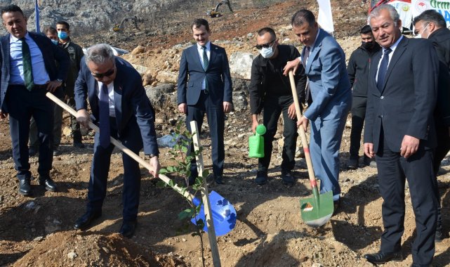Vali Su, yanan orman alanlarında fidan dikti