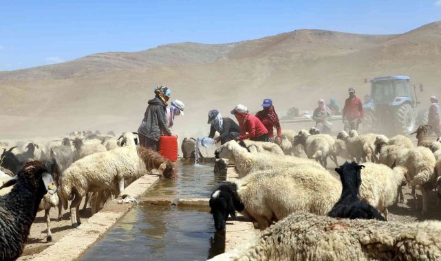 Van Büyükşehir Belediyesi bir yılda kırsal kalkınmaya 40 milyon lira harcadı