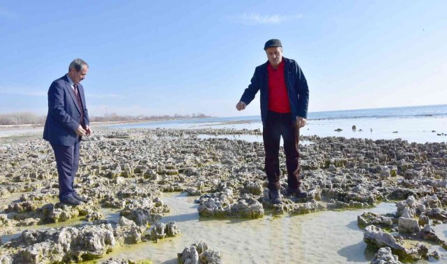 Van Gölü&#039;nün çekilmesiyle yeni mikrobiyalitler gün yüzüne çıktı
