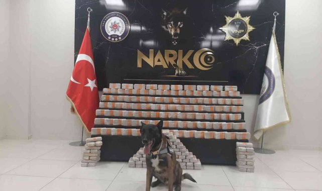 Van'da 'Magnum'lu aramada 104 kilo eroin ele geçirildi