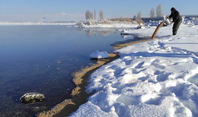 Van'da yaban hayvanlarına yem desteği