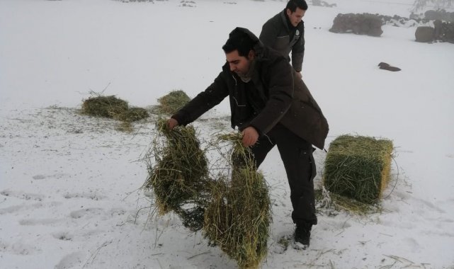 Yaban hayatı için doğaya yem bırakıldı