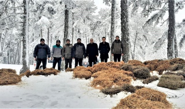 Yaban hayvanları için doğaya yem bırakıldı