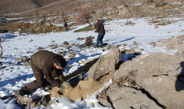 Yaban hayvanları için doğaya yem servisi yapıldı