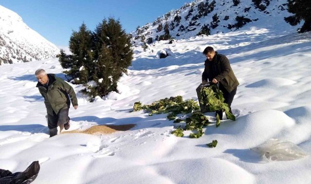Yaban hayvanları unutulmadı