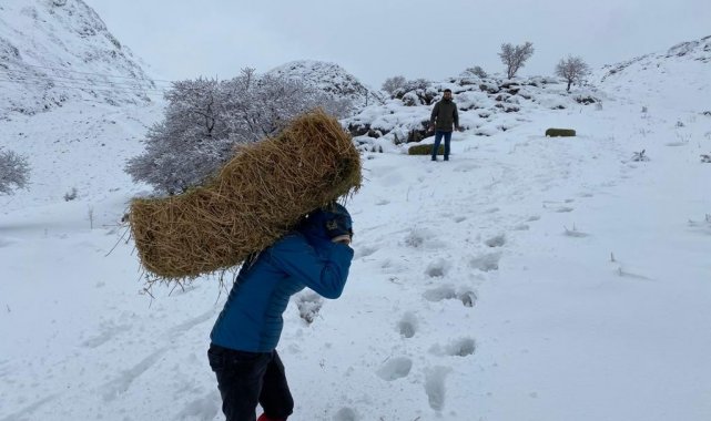 Yaban hayvanlarına yem desteği
