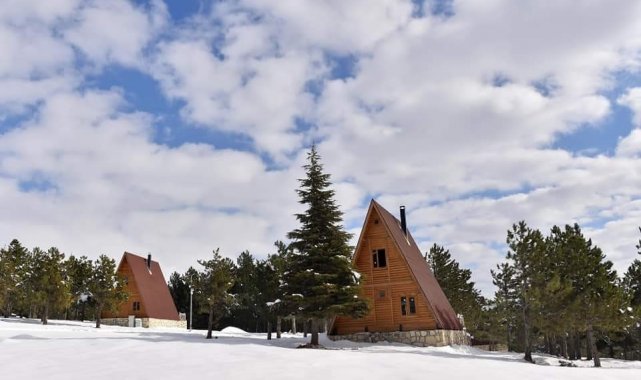 Yalnız Ardıç Mesire Alanında kartpostallık görüntüler oluştu