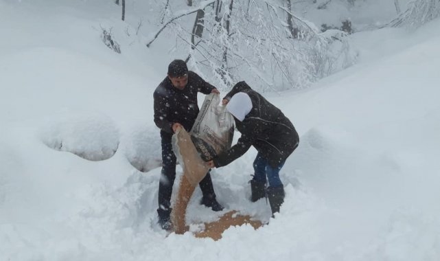 Yalova&#039;da av ve yaban hayvanları için ormana yem bırakıldı